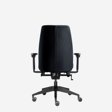 Afbeelding in Gallery-weergave laden, PROCHAIR