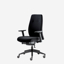 Afbeelding in Gallery-weergave laden, PROCHAIR