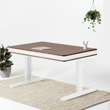 Afbeelding in Gallery-weergave laden, MOLL STANDING DESK
